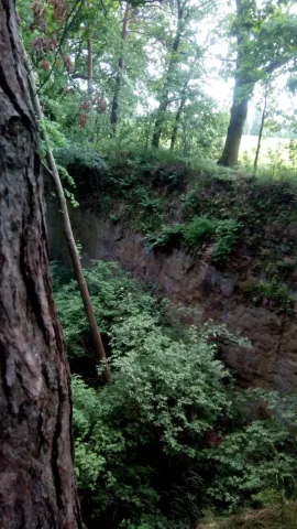 Kotvení na jedné straně borovice a na druhé dub.