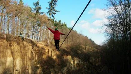 Pavučinka