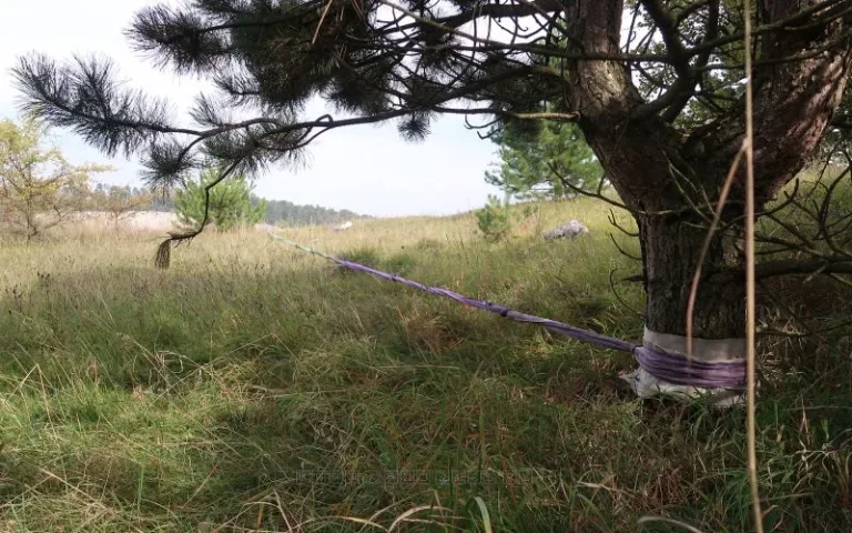 kotvení 2
