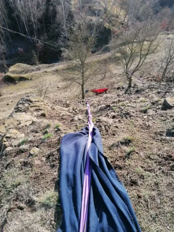 Pohled shora na strom "o patro níž" na východní straně