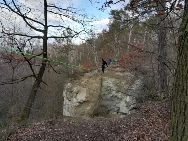Dřevorubec