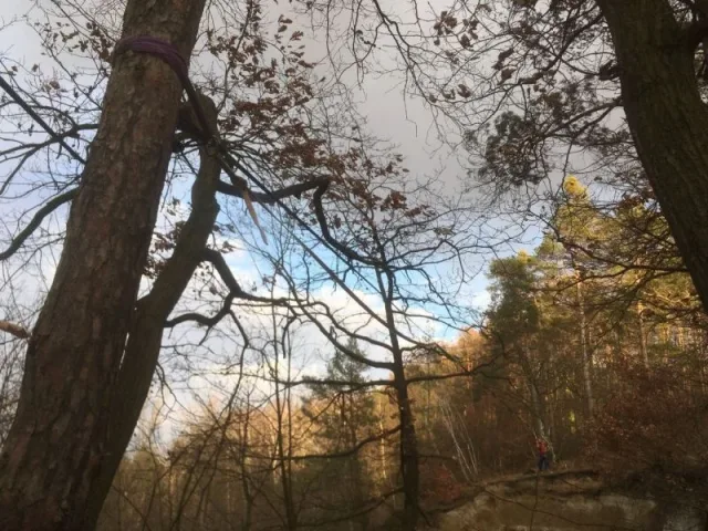 Dřevorubec