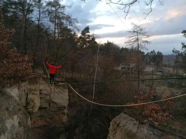 Dřevorubec