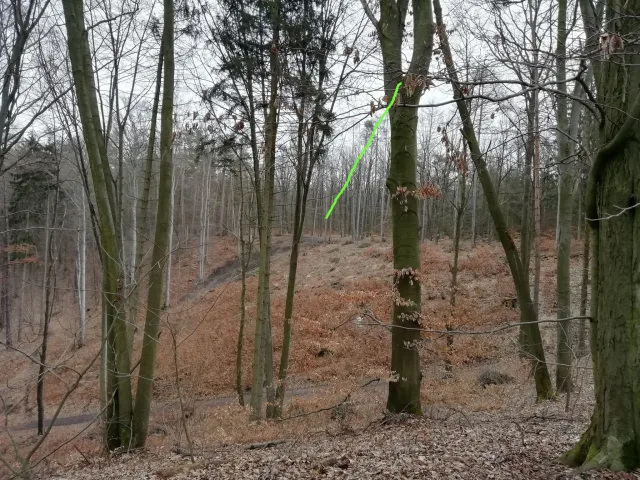 Projekt 85