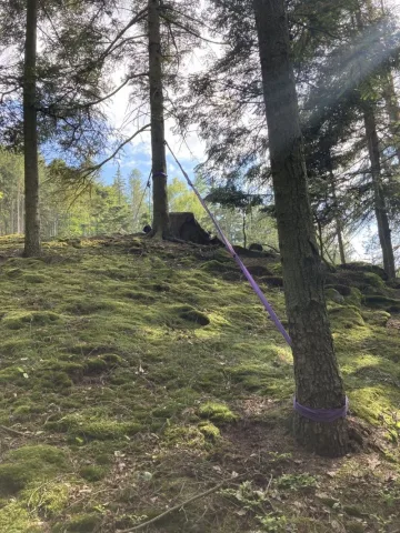 Zamávej strojvedoucímu