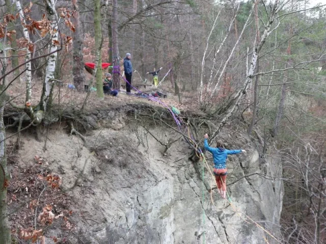 Zpátky ke kořenům