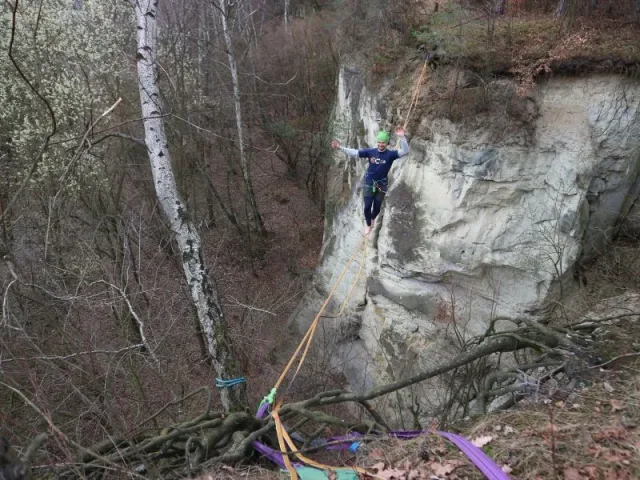 Zpátky ke kořenům