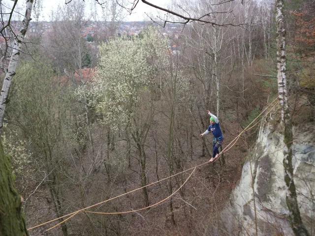 Zpátky ke kořenům