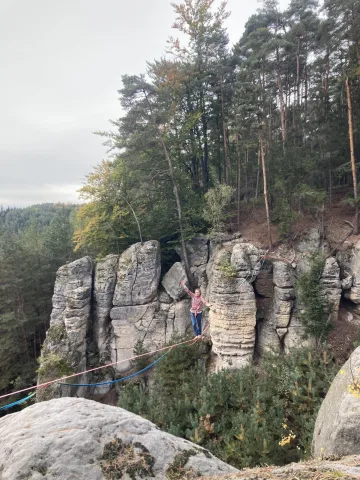 Lost repka pine