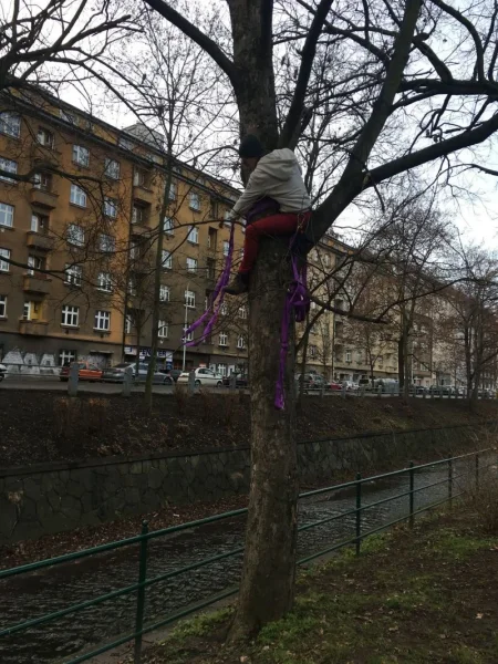 Vlhký Labužník