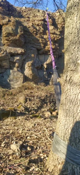 Strom "o patro níž" na východní straně