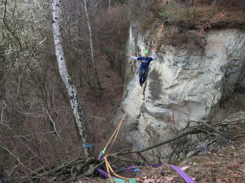 Zpátky ke kořenům