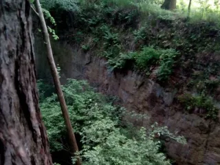 Kotvení na jedné straně borovice a na druhé dub.