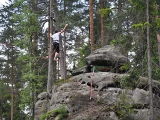 Hon na žirafu