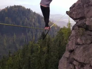 Zmrdi řvou