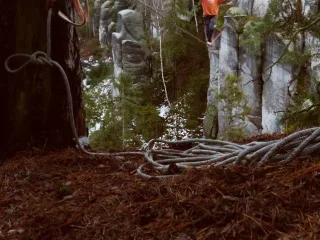 Kotvení na stromě