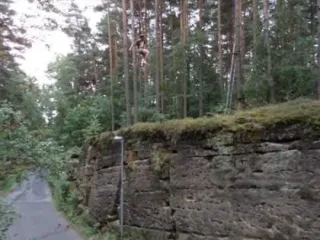 Babylonské kvítí