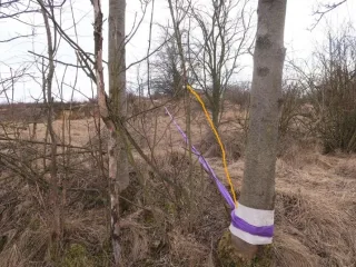 na plotne_alternativa kvuli kamenum oranzove