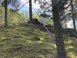 Zamávej strojvedoucímu