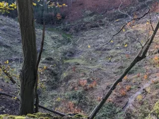 LVýK