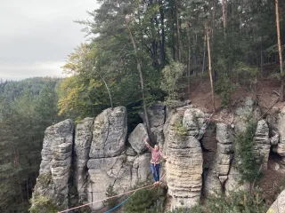 Lost repka pine